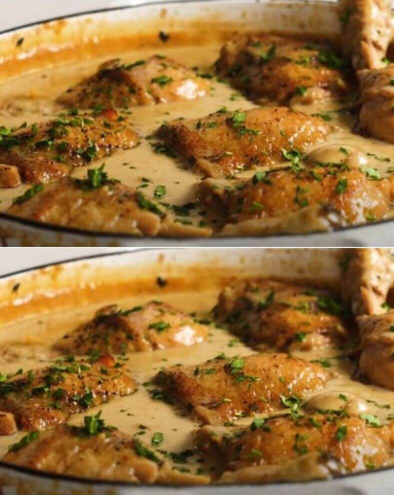 Chicken Fricassee