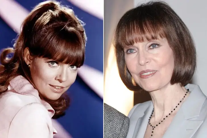 Barbara Feldon